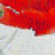 Предпросмотр схемы вышивки «маки» (№621359)