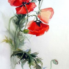 Схема вышивки «маки»