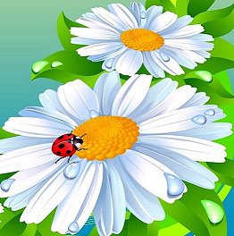 миленько - цветы, ромашка, жук, природа - оригинал