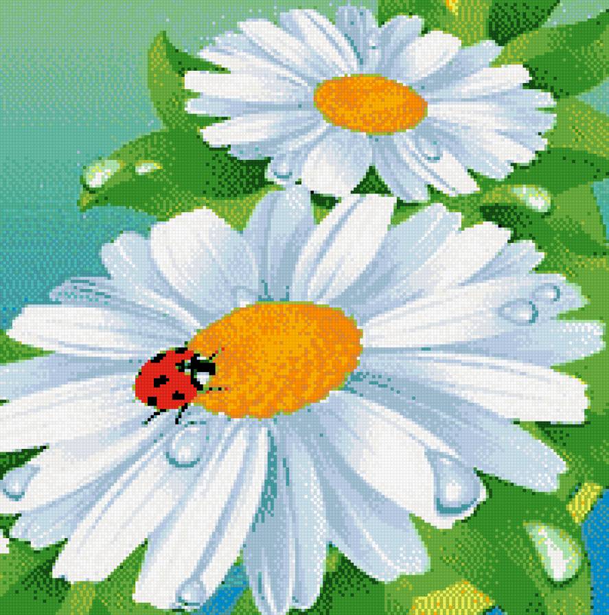 миленько - природа, жук, ромашка, цветы - предпросмотр