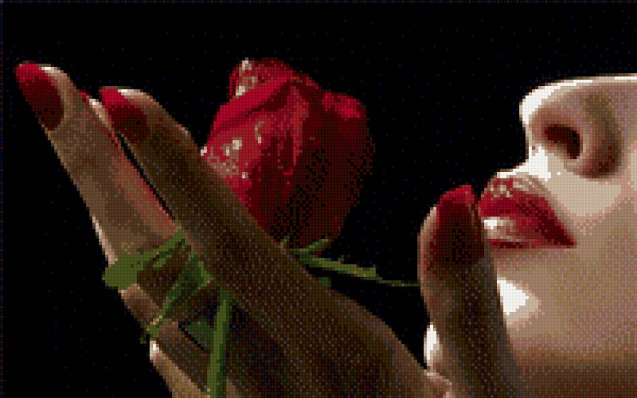 королевы - люди, девушка, роза - предпросмотр