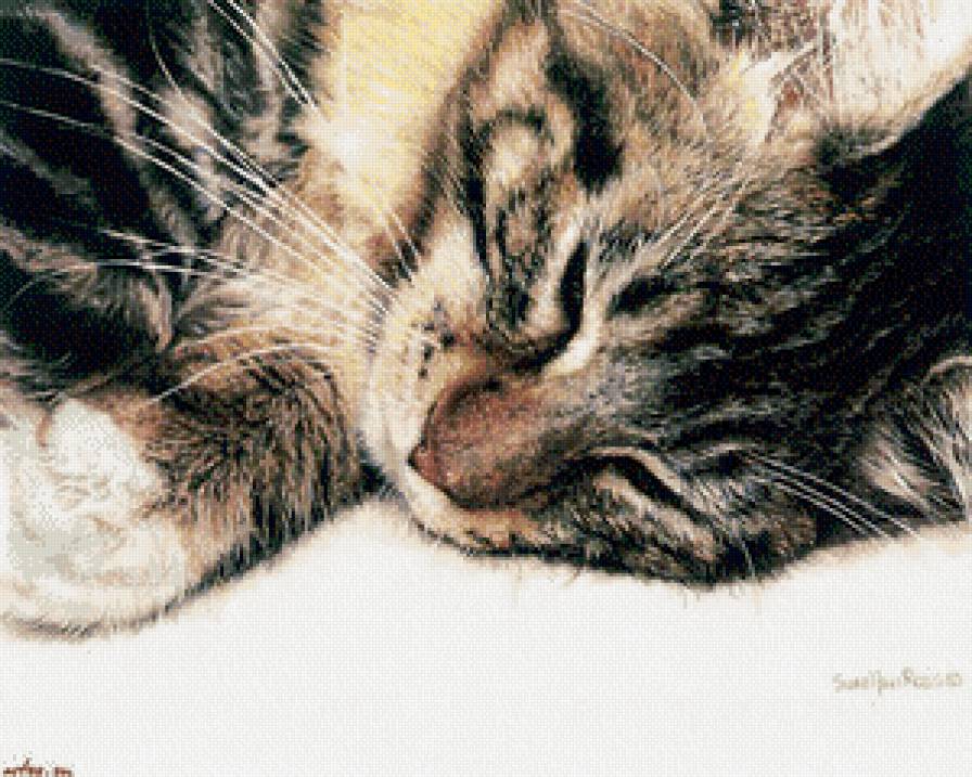 Котенька4 - предпросмотр