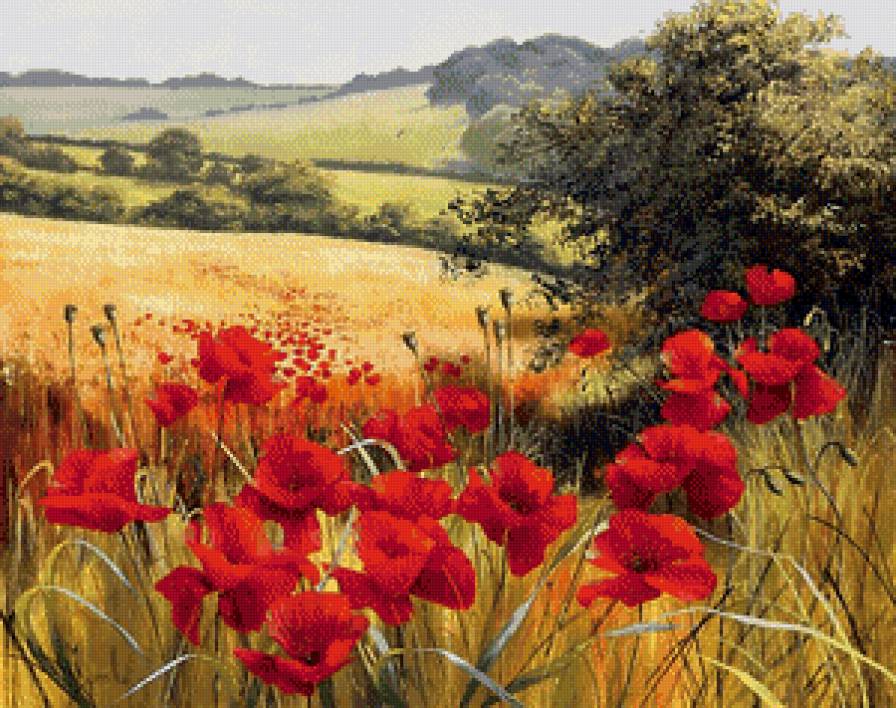 Маковое поле - предпросмотр
