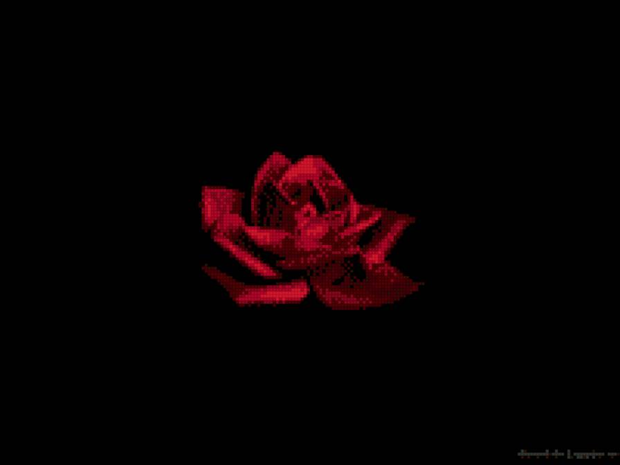 Розочка 2, версия легче - цветок, для начинающих, черный фон - предпросмотр