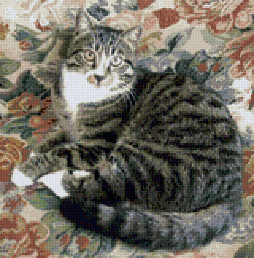 Яша - предпросмотр