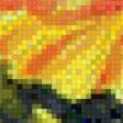 Предпросмотр схемы вышивки «желтые маки» (№621878)