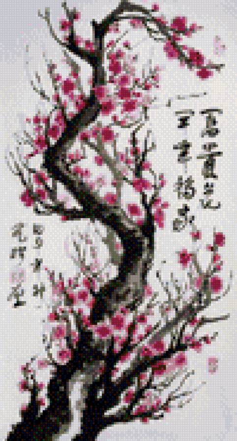 сакура - япония - предпросмотр