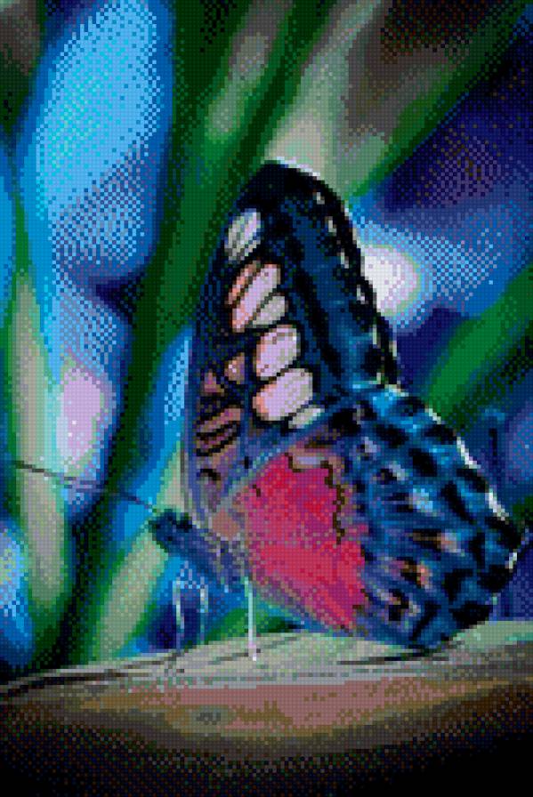 Бабочка - природа, бабочка - предпросмотр