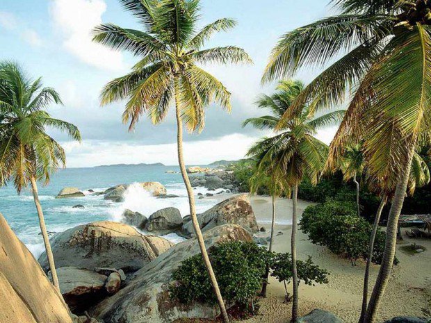 море пальмы - оригинал