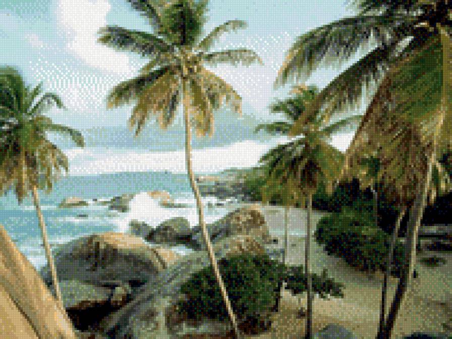 море пальмы - предпросмотр