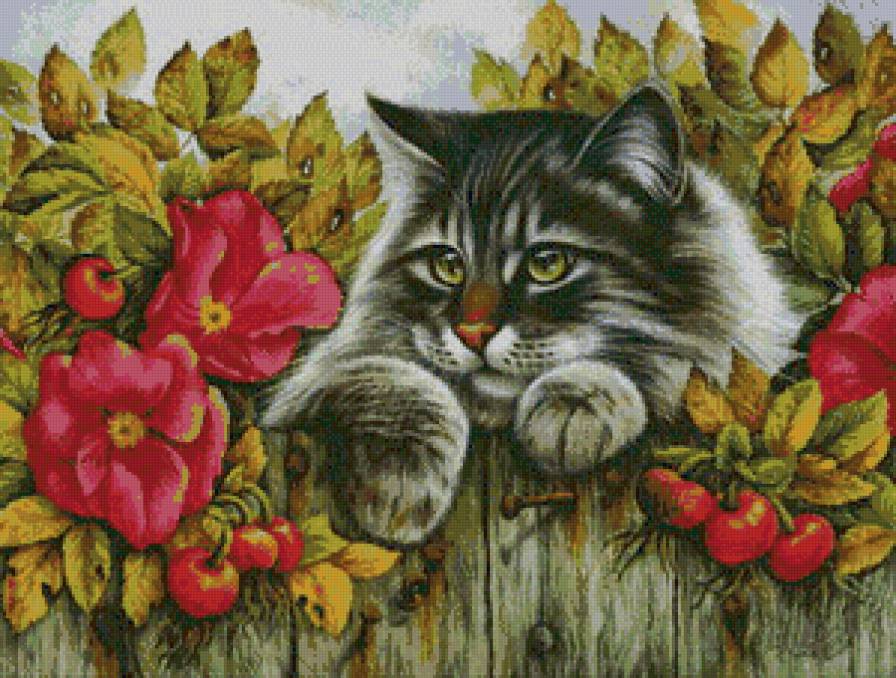 Кот - животные, кошки - предпросмотр