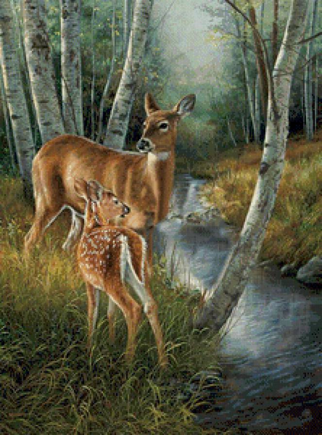 Лесные обитатели - вода, лес, олени - предпросмотр