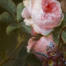 Схема вышивки «роза»