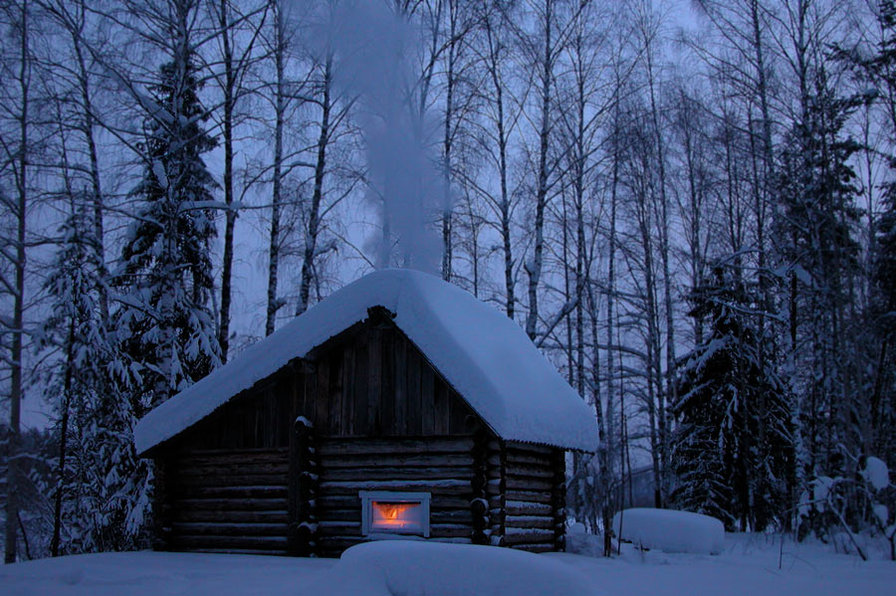 Дом в зимнем лесу - лес, дом, зима - оригинал