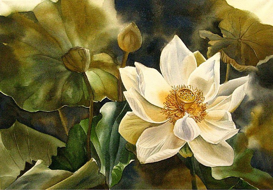 Лотос - восток, натюрморт, азия, цветы - оригинал