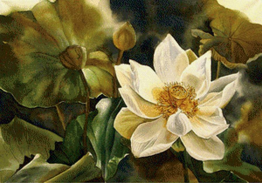 Лотос - натюрморт, азия, цветы, восток - предпросмотр