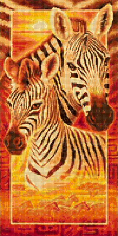 Зебры - зебры, африка, животные - предпросмотр