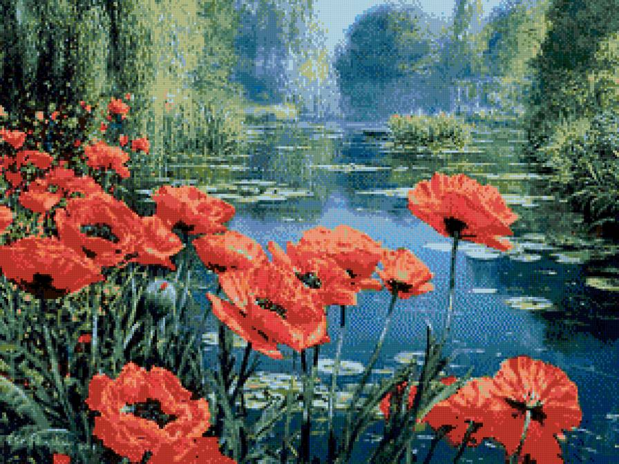 маки - предпросмотр