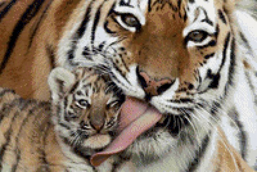 Заботливая мама - тигры, животные, дикие кошки - предпросмотр