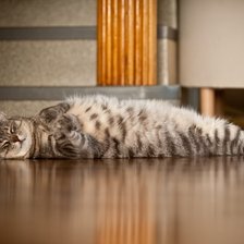 Схема вышивки «Тихий час»