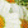 Предпросмотр схемы вышивки «ромашки» (№622978)