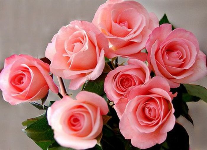 розы - букет, розовые - оригинал