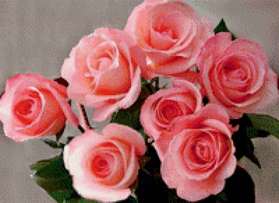 розы - букет, розовые - предпросмотр
