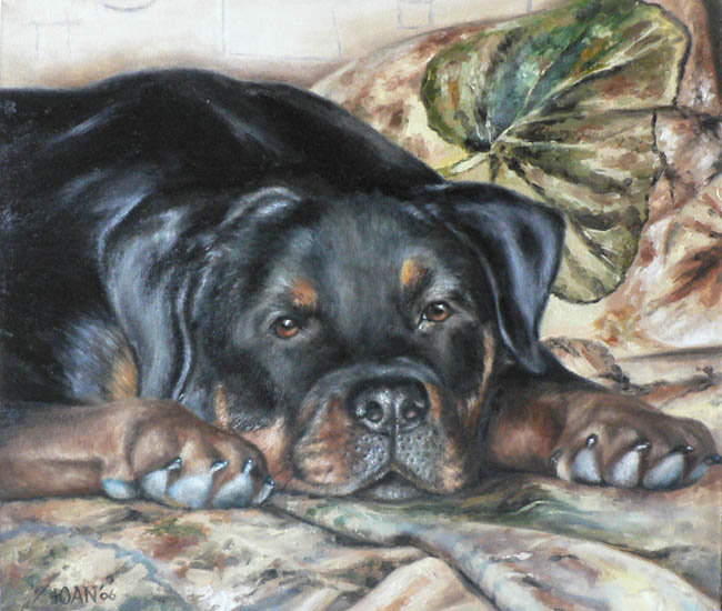 Грустный пёс. - собака - оригинал