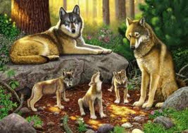 семья волков - картина - оригинал