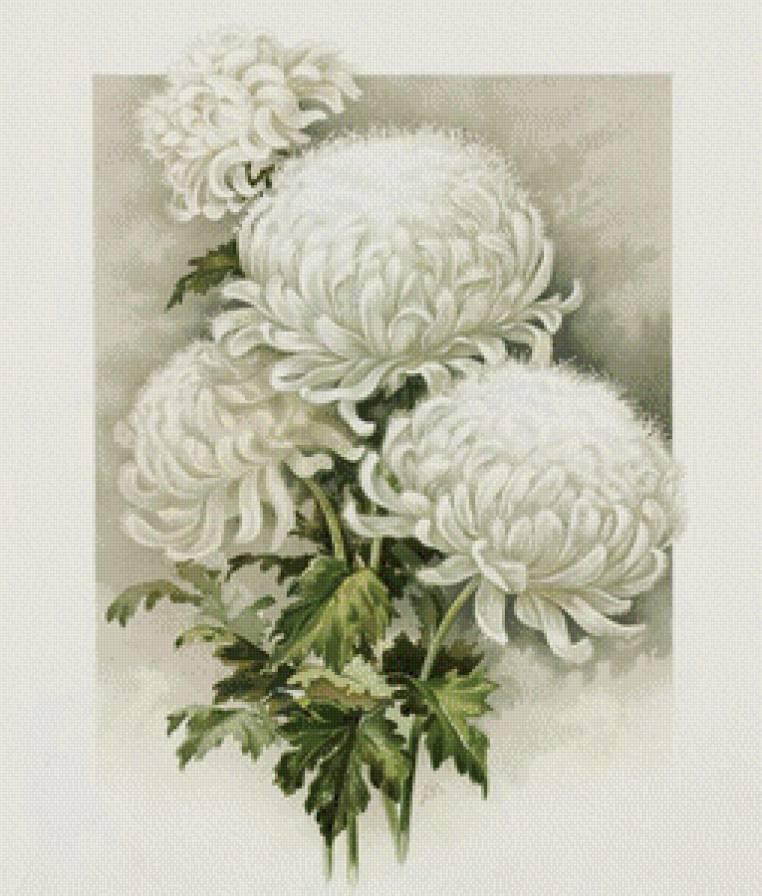 букет цветов - предпросмотр