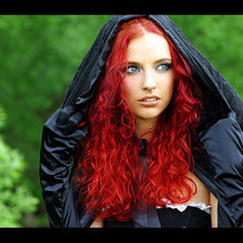 Схема вышивки «Рыжая бестия»