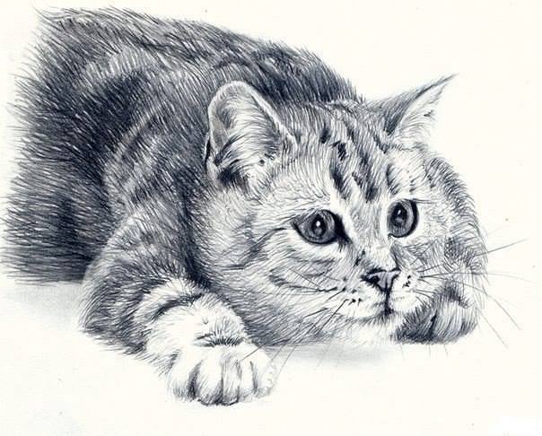 * - оригинал