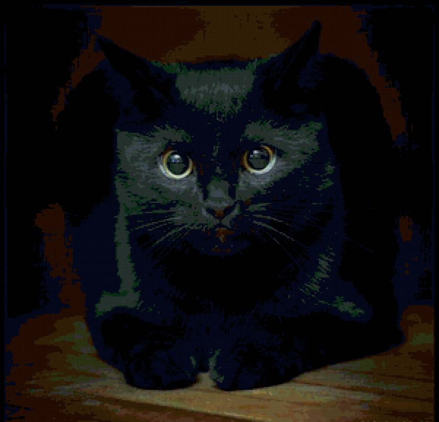 6 - предпросмотр