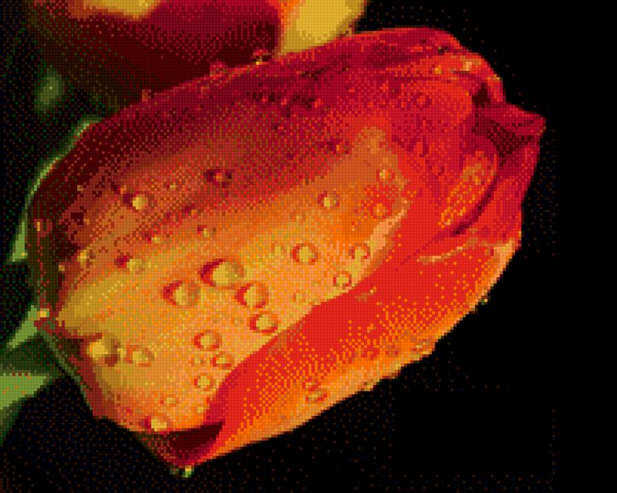 №623584 - предпросмотр