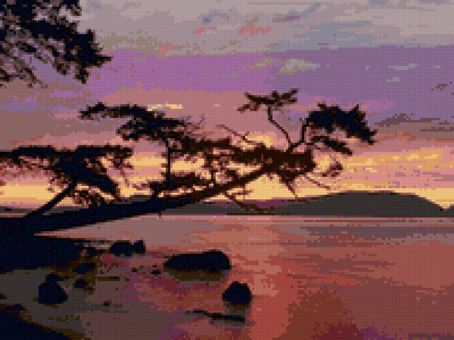 дерево на закате - закат - предпросмотр