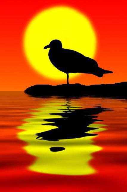 закат - закат - оригинал