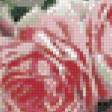 Предпросмотр схемы вышивки «розовые розы» (№623774)