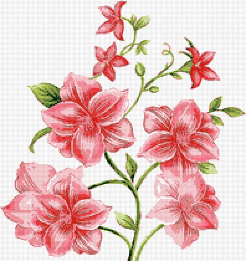 Нежные цветы - предпросмотр