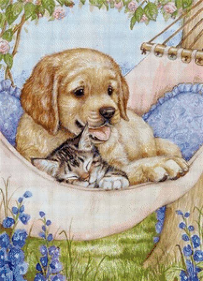 домашние любимцы - предпросмотр