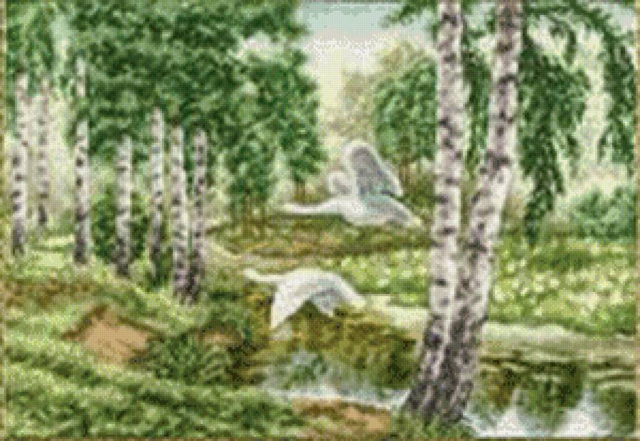 Лесные лебеди - предпросмотр