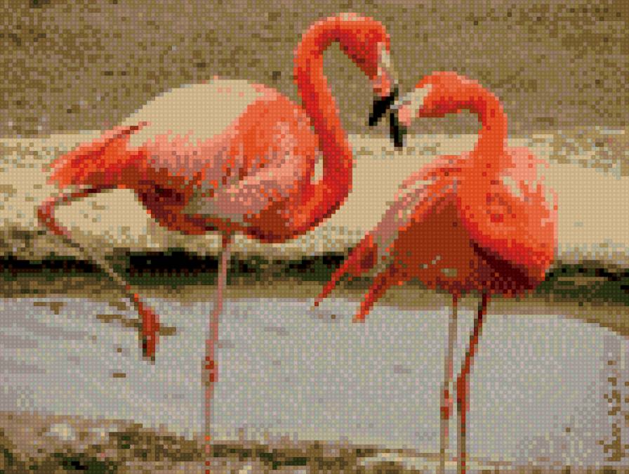 фламинго - предпросмотр