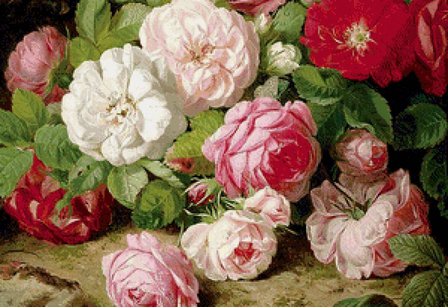 Чайные розы - розы, цветы - предпросмотр