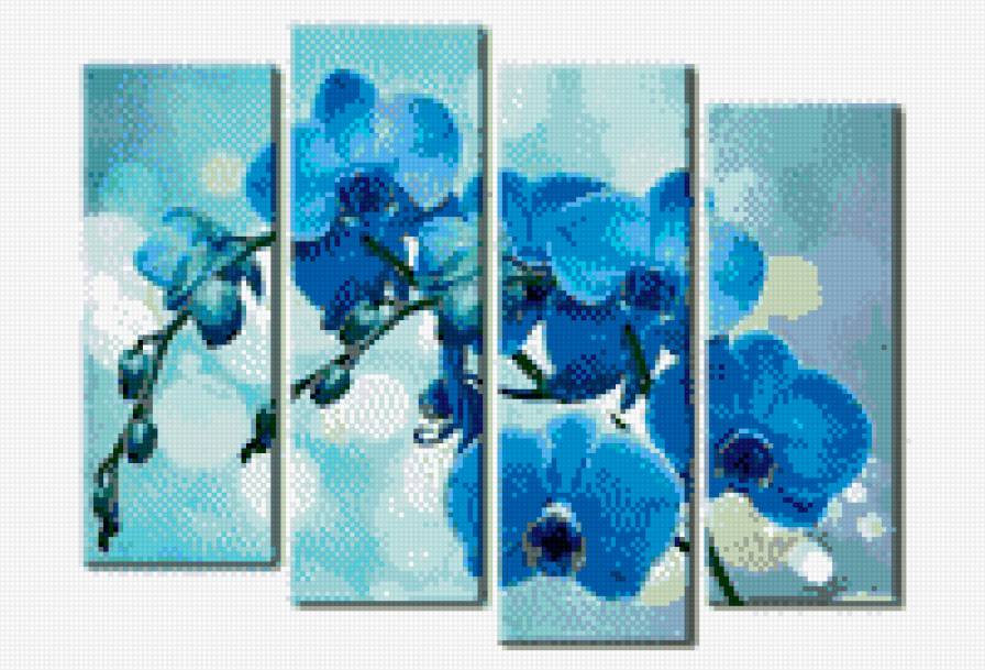 орхидеи - предпросмотр