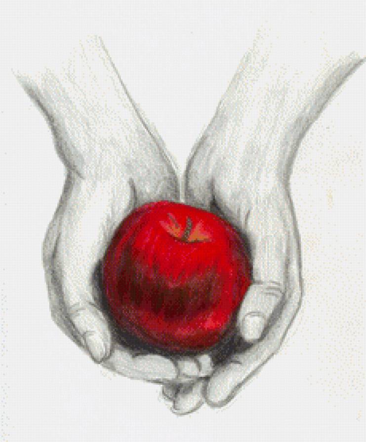 ладошки - каллены - предпросмотр