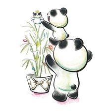 Новый год для панды