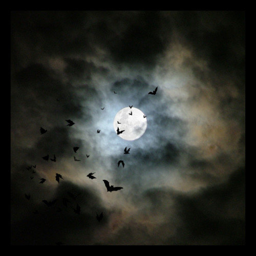 Полнолуние - природа - оригинал