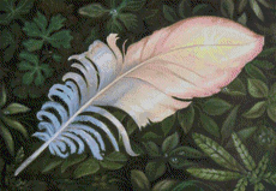 Перо - животные - предпросмотр