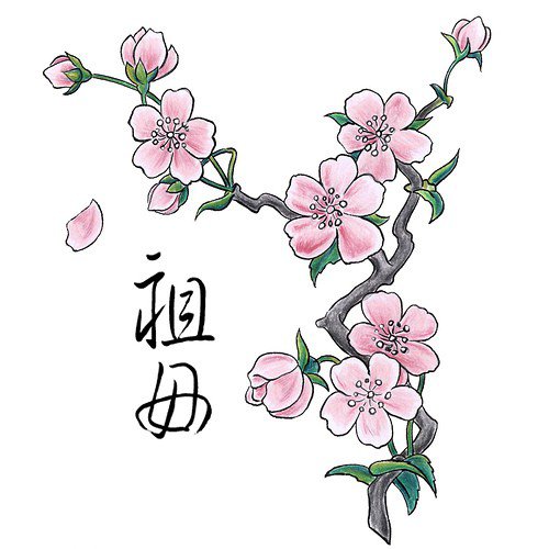 Ветка сакуры - восток, азия, цветы - оригинал