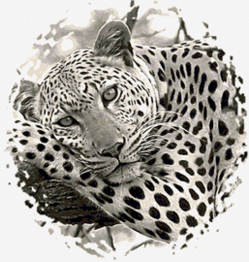 №624770 - предпросмотр