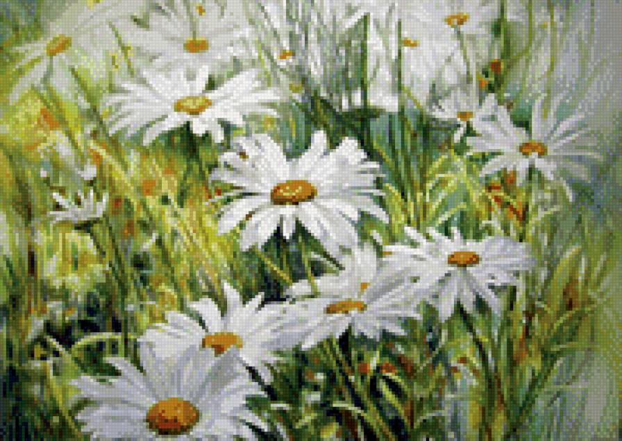 ромашки - предпросмотр